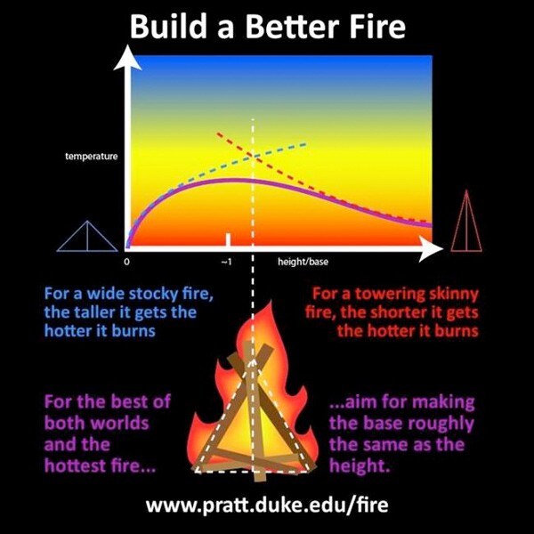 Illustration by <a href="http://www.eurekalert.org/multimedia/pub/92948.php">Duke University</a>