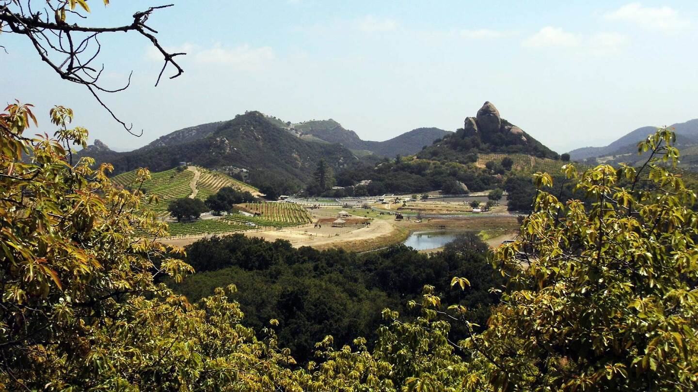 Malibu Wine Hikes take visitors through the Semler family’s Saddlerock Ranch vineyards | Sandi Hemmerlein