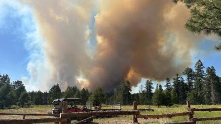 Two senators on working across the aisle to combat wildfires