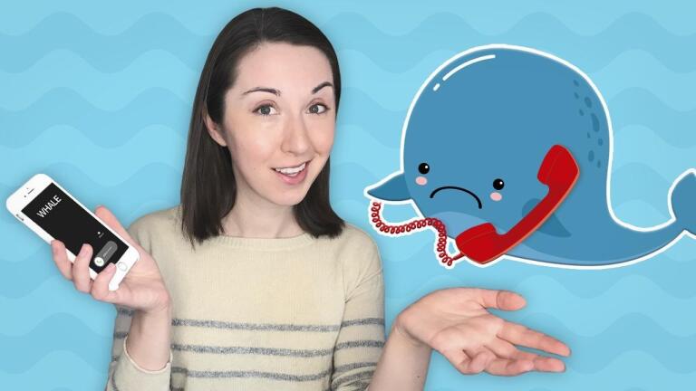The Loneliest Whale