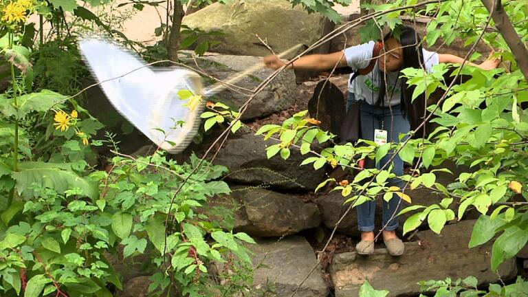 Sept. 19: Unemployment, Poverty Solutions, Bioblitz