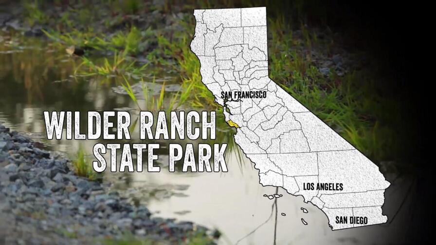 The Ancient Coast of Wilder Ranch State Park