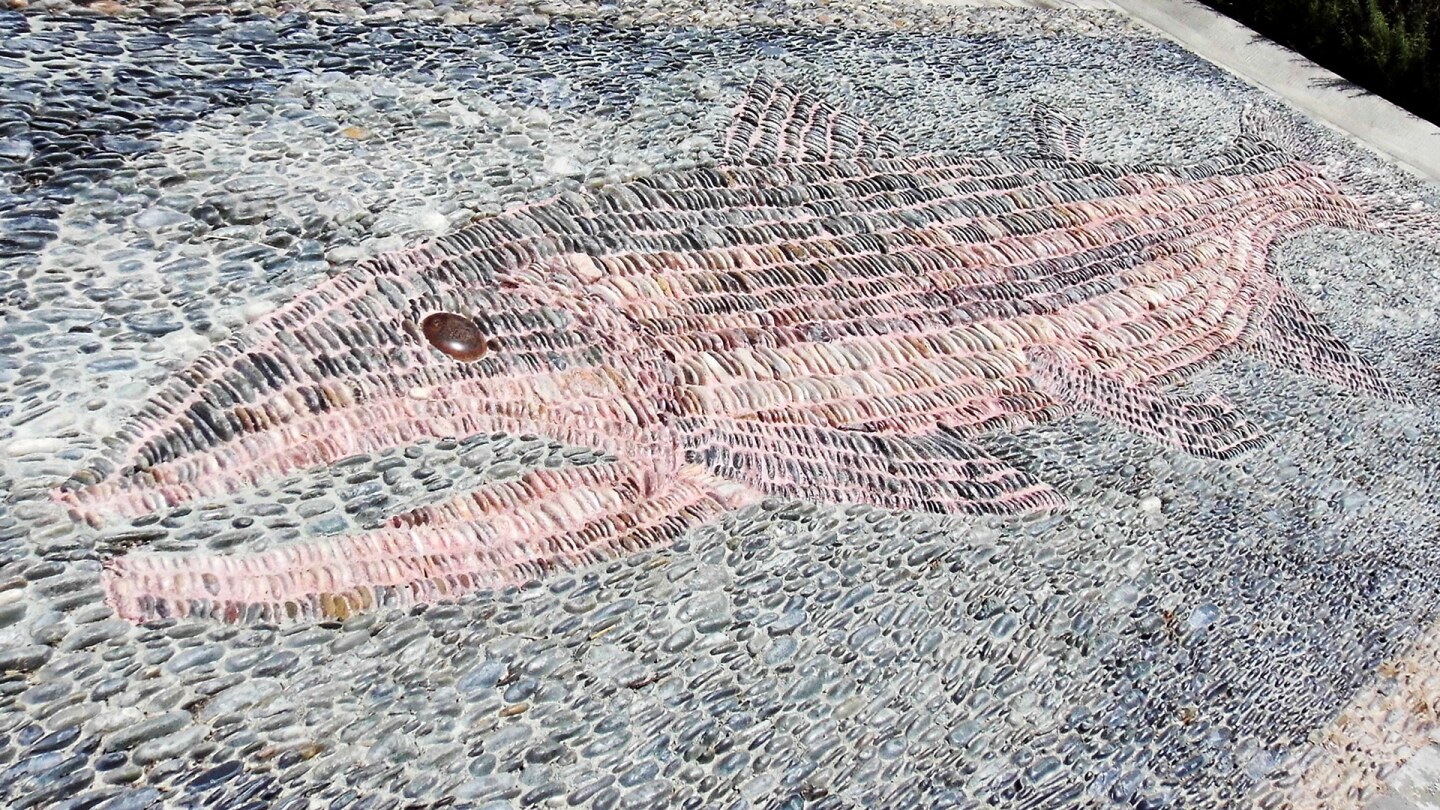 Kevin Carman's "The Mighty Steelhead" at North Valleyheart Riverwalk. | Sandi Hemmerlein