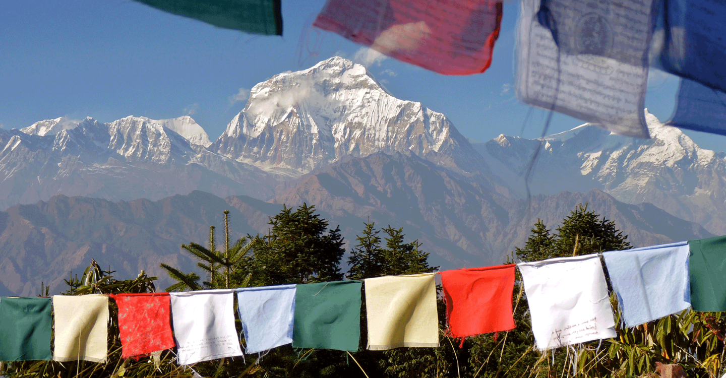 The Himalaya Connection