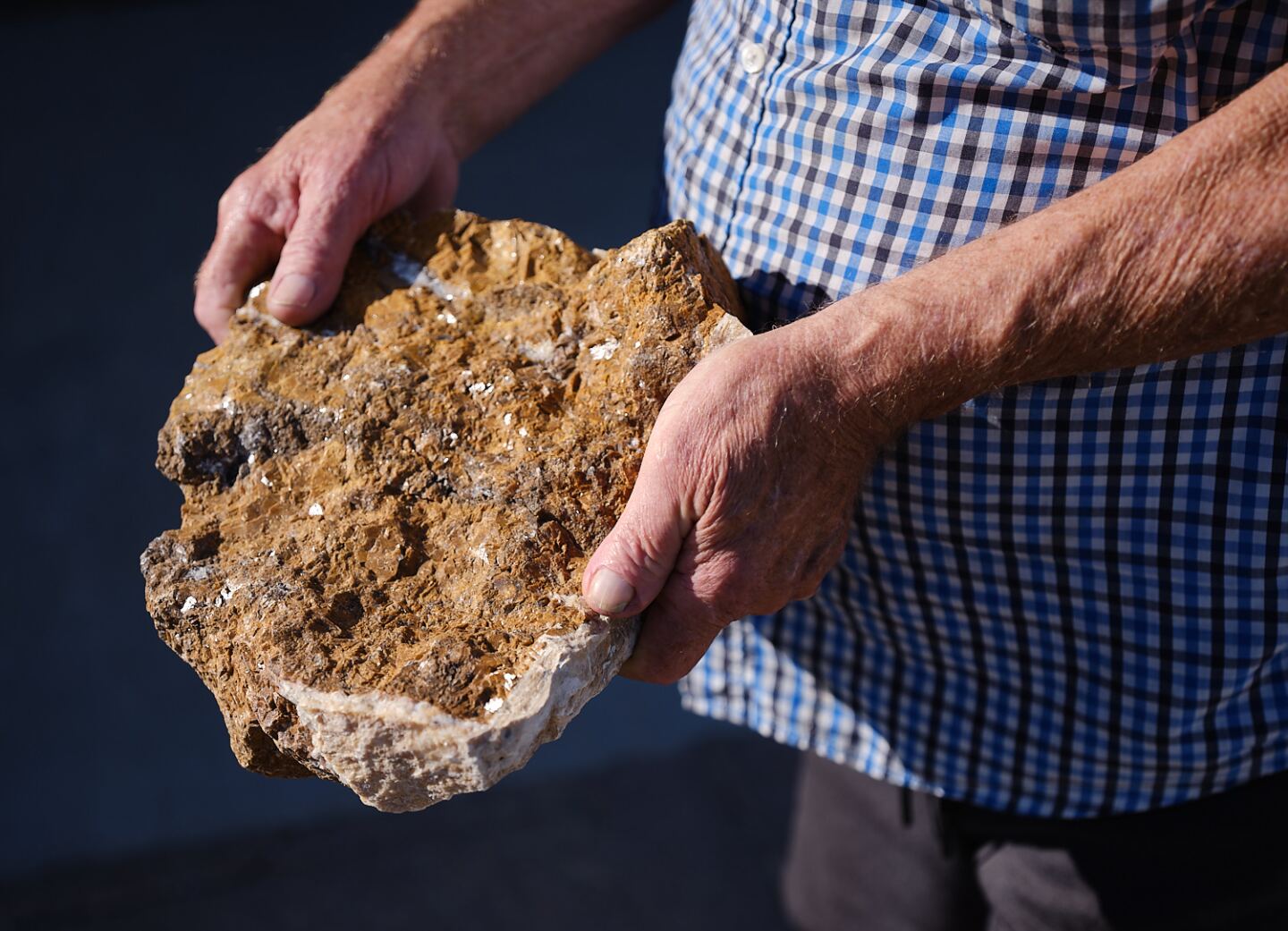 Gail Austin holds limestone specimen. | Osceola Refetoff