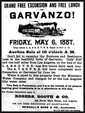 Garvanzo Sale