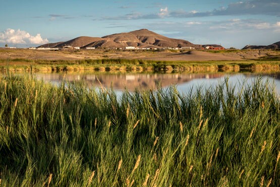 View of Tecopa Hot Springs from the Tecopa Marsh wildlife area. | Photo: Kim Stringfellow