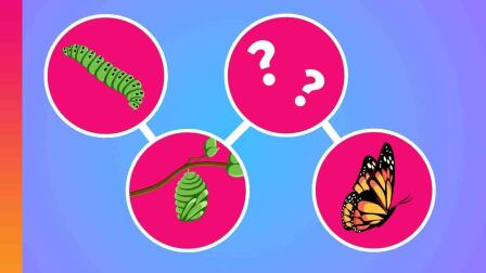 The Truth About Butterfly Metamorphosis (It's Very Weird)