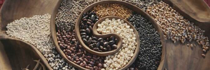 Collection of heirloom seeds inside a swirled container