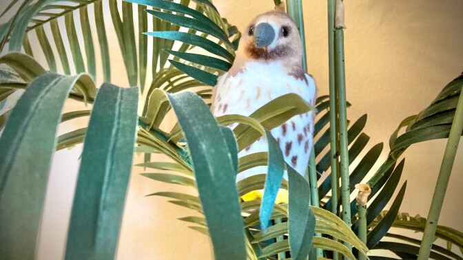 A stuffed toy hawk relaxes in its house plant "nest."