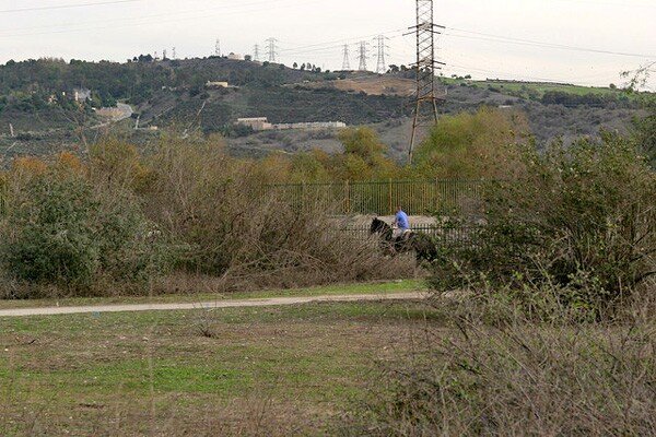 An active equestrian community still thrives and rides along the San Gabriel River | Photo: Laura Vena