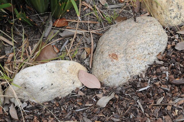 arroyoseco.jpg