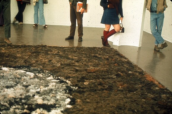 04_nancy_buchanan_-_some_hair_1971-1972.jpg