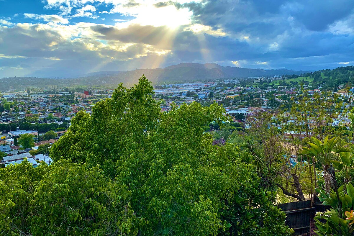 The sun peeks through clouds to shine on a lush, green tree. 
