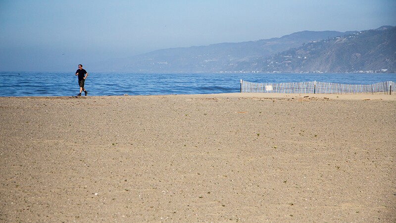 A runner passes a restored patch of the beach in Santa Monica. | Photo: Jason Goldman