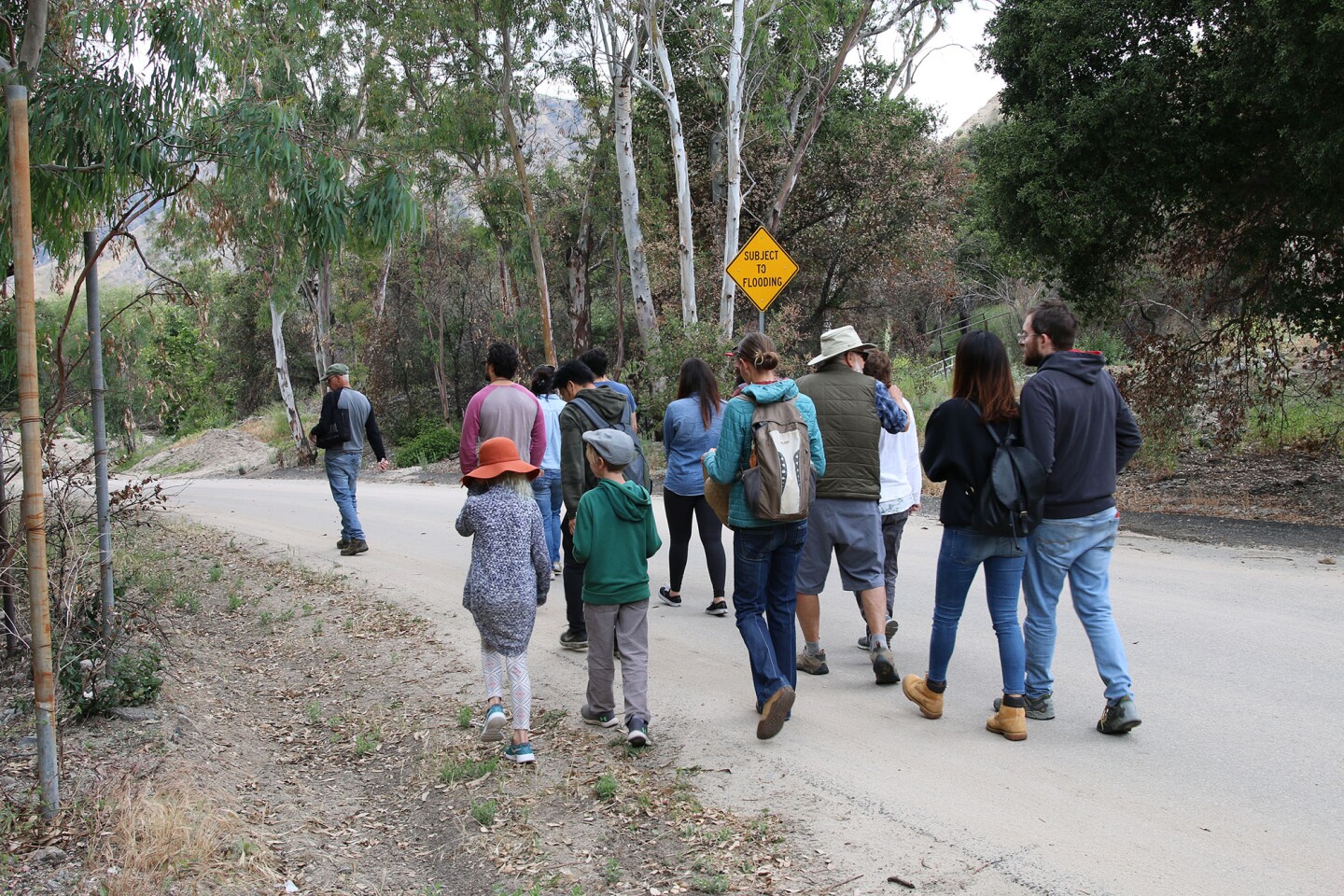 Baudar leads a group on his Wild Food Tasting and Plant Walk in the hills outside Los Angeles I Camille Frazier