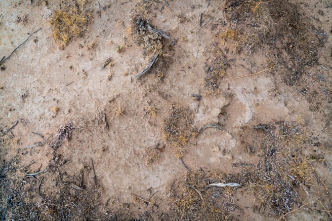 A patch of dirt behind an occupied suburban housing tract between 50th and 60th Street West and Avenue J that has tested positive for coccidioidomycosis spores by Dr. Antje Lauer. | Kim Stringfellow © 2017