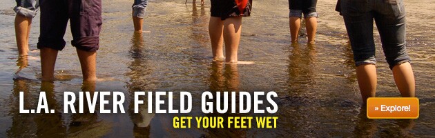 get-your-feet-wet