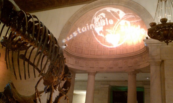 Sustainable Sundays at the Natural History Museum