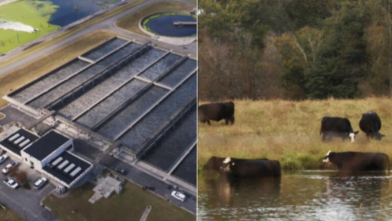 Contaminated: The Carpet Industry’s Toxic Legacy