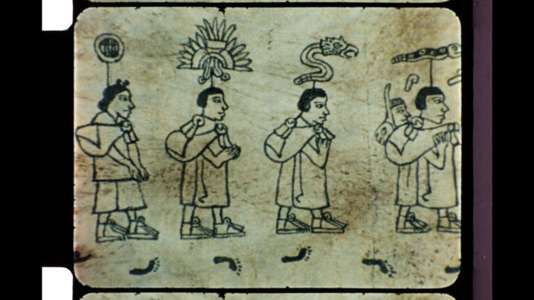 Where the term "Chicano" comes from
