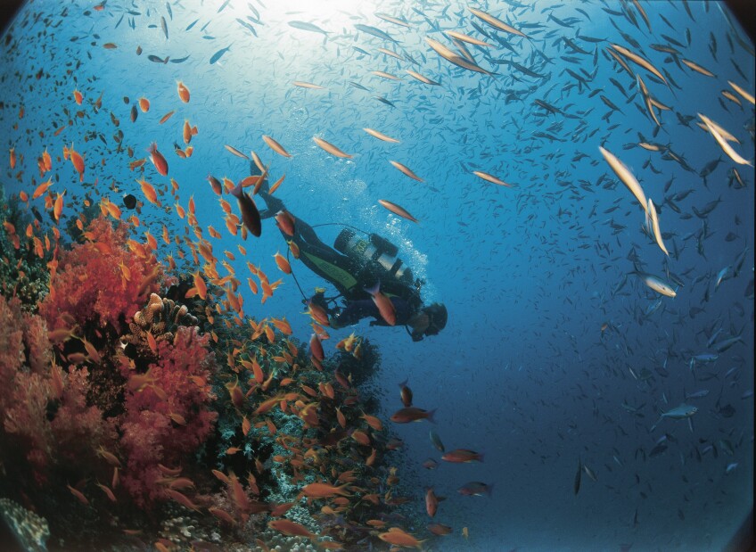 Image 2.jpg
