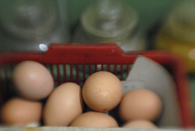 refrigeratedeggs