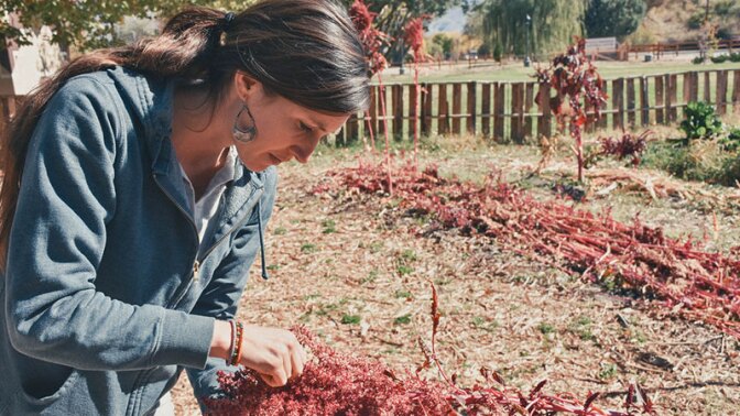 Jen in the amaranth patch