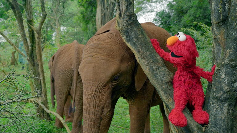 Preview of Sesame Street and the Great Elephant Adventure