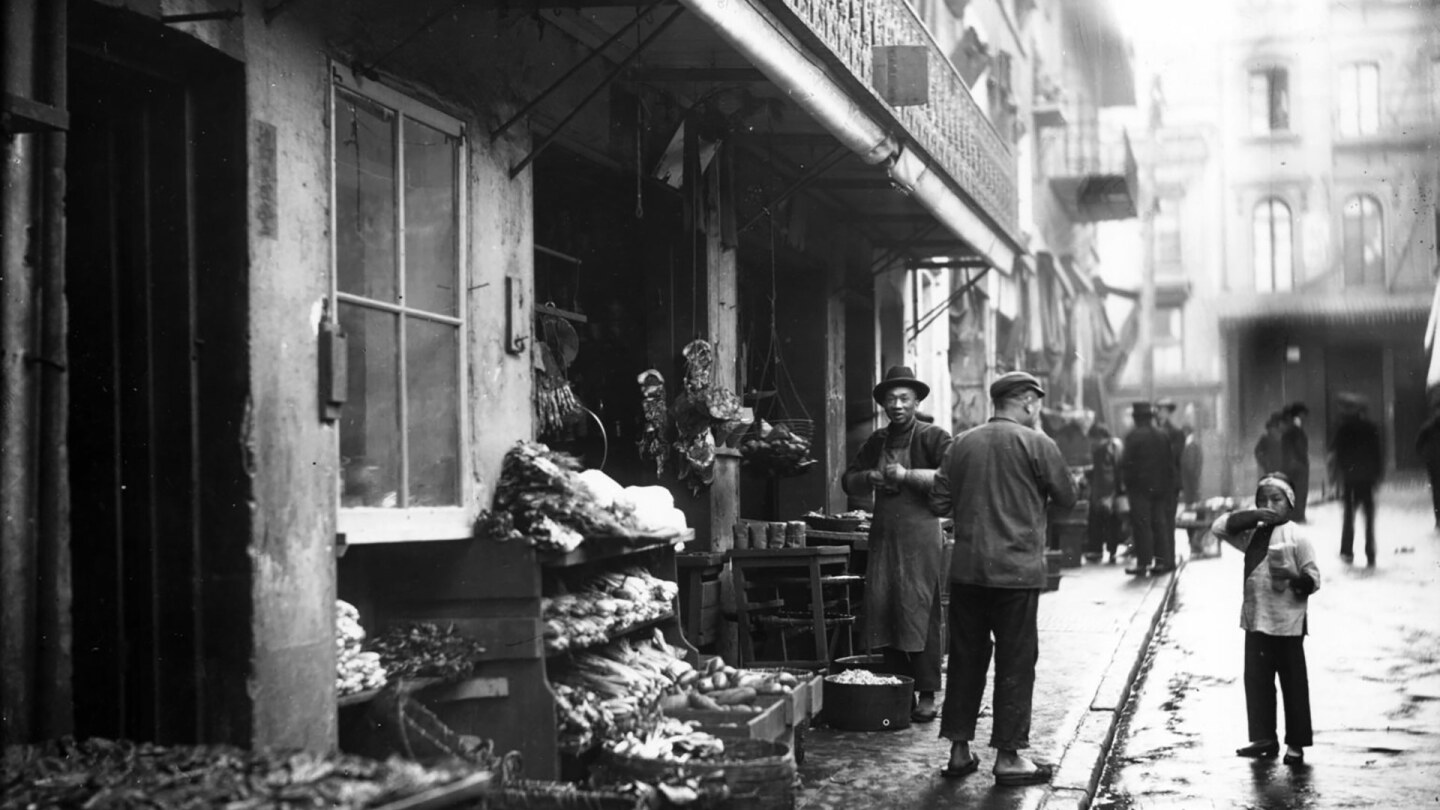 Storefront of Chinatown meat and vegetable market, San Francisco, California, 1895 | University of Washington, Special Collections, Hester 11128