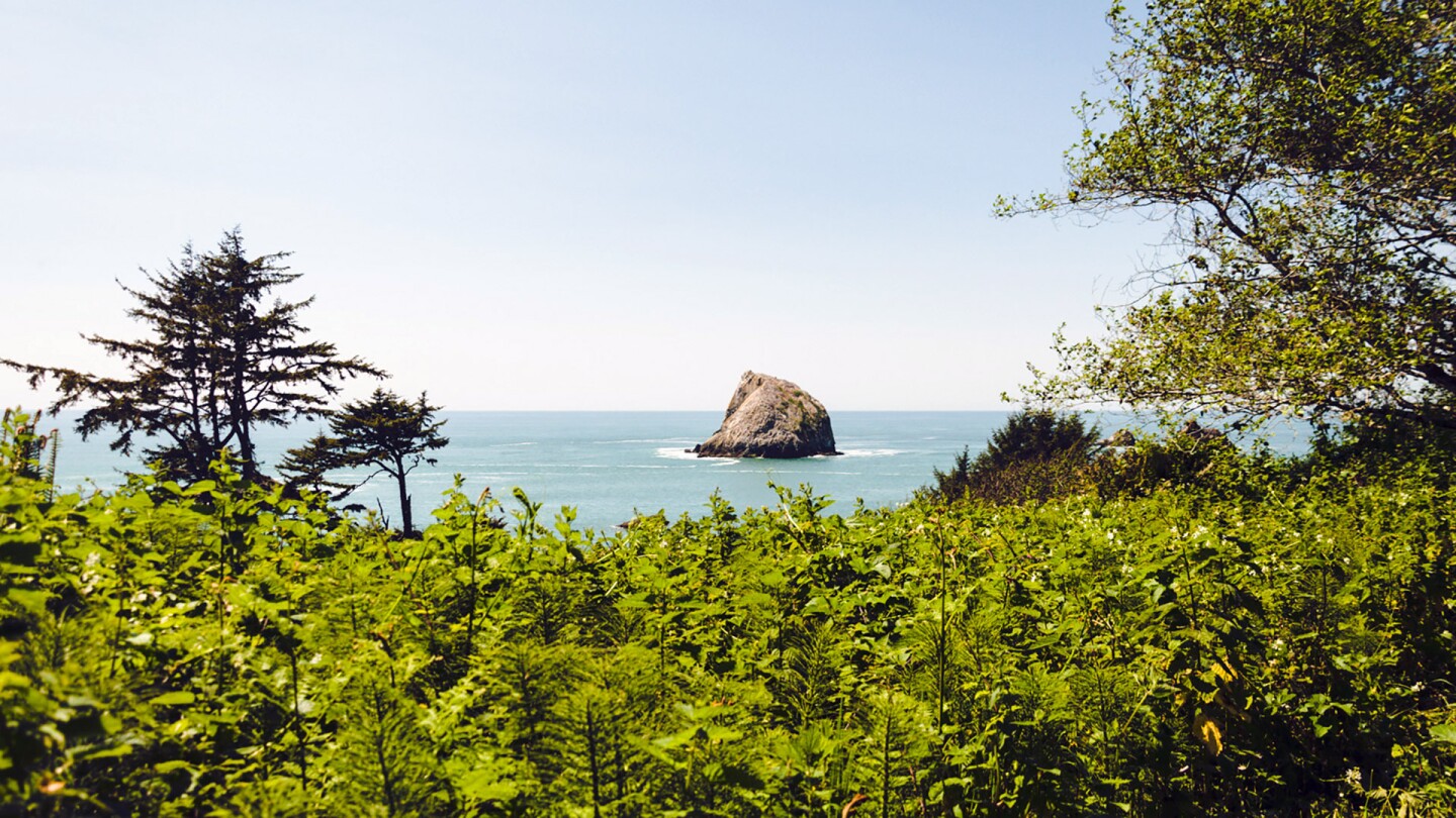 yurok loop trail