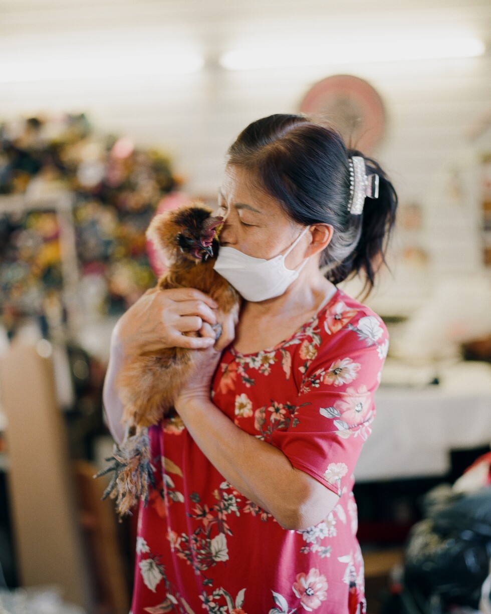 Jessica Pak holds one her chickens in her tailor shop.