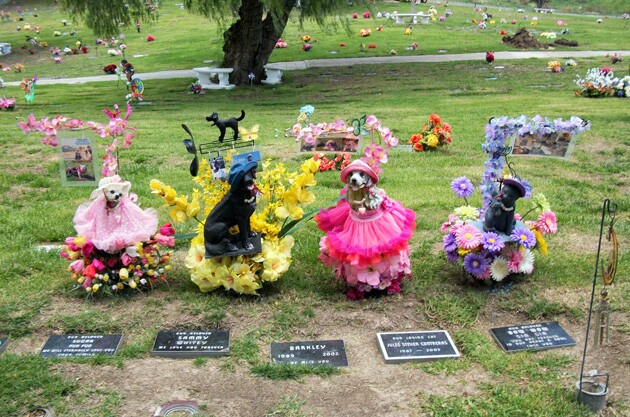 petcemeterytop.jpg