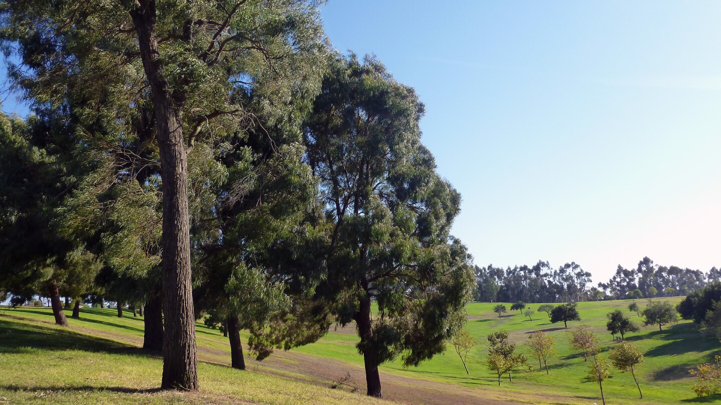 Baldwin Hills Reservoir