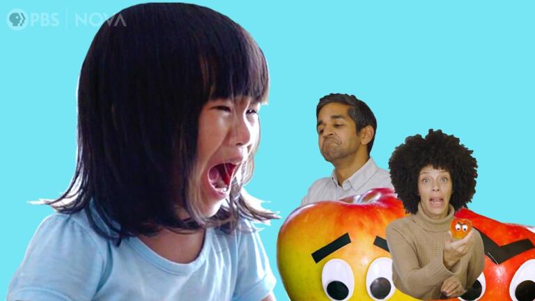 Why Toddlers Throw Tantrums