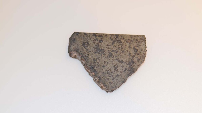 Close-up of a slice of a meteorite scientists have determined came from Mars. | NASA/JPL-Caltech