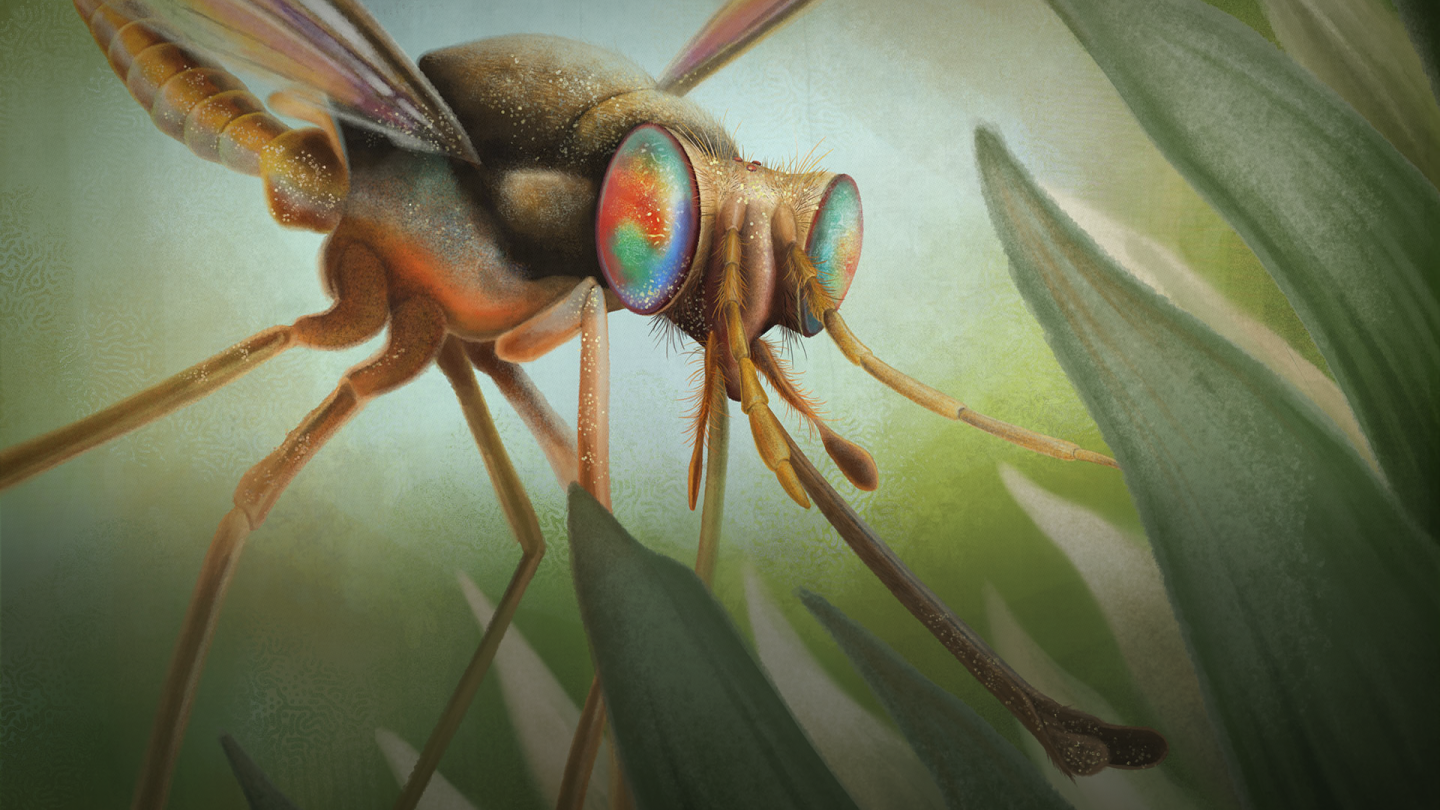 How Pollination Got Going Twice