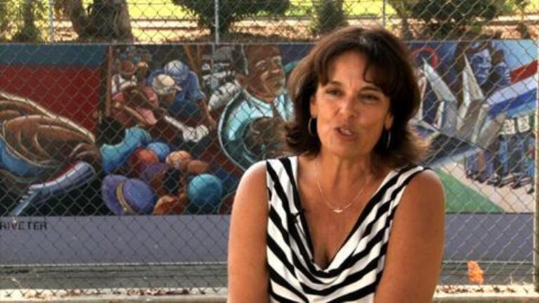 Diane Ferrari - The Vandalism Stakeout