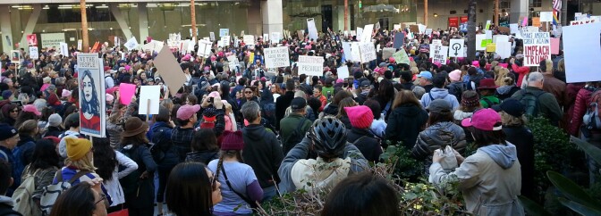 Women's March: Banner