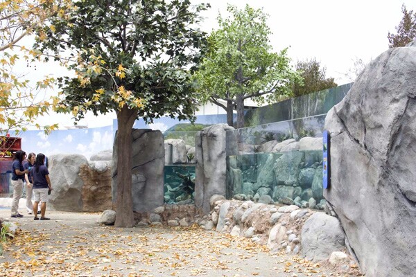 The row of tanks with rainbow trout, emulating different environments in the fish's life cycle.