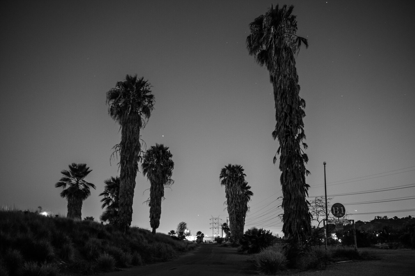 California State Parks has plans to open the Bowtie Parcel as L.A.’s next state park in the not-too-distant future, but it remains to be seen how the wider community would like to see the space evolve | Photo by Bear Guerra