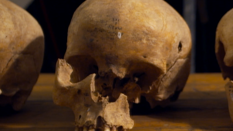 What Fish Revealed About This Mysterious Grave