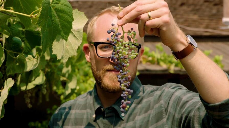Winemaking