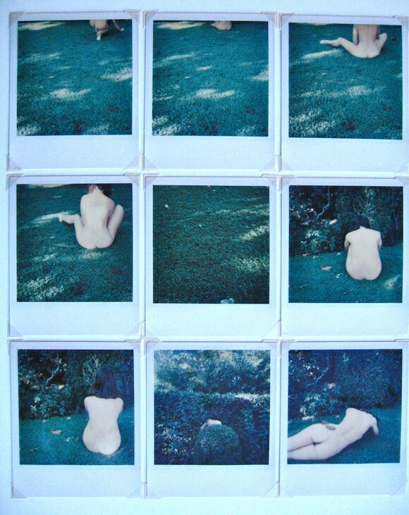 Rena Small, Gardens for Matisse, Renoir, Samaras, 1977. | Courtesy of CSUN.