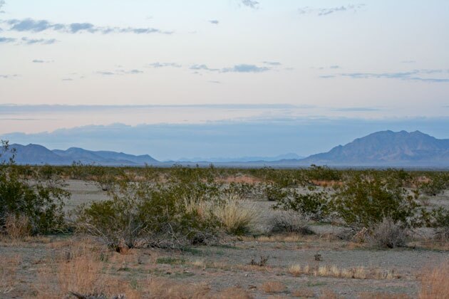 blythe-vegetation-1-23-15-thumb-630x420-86946