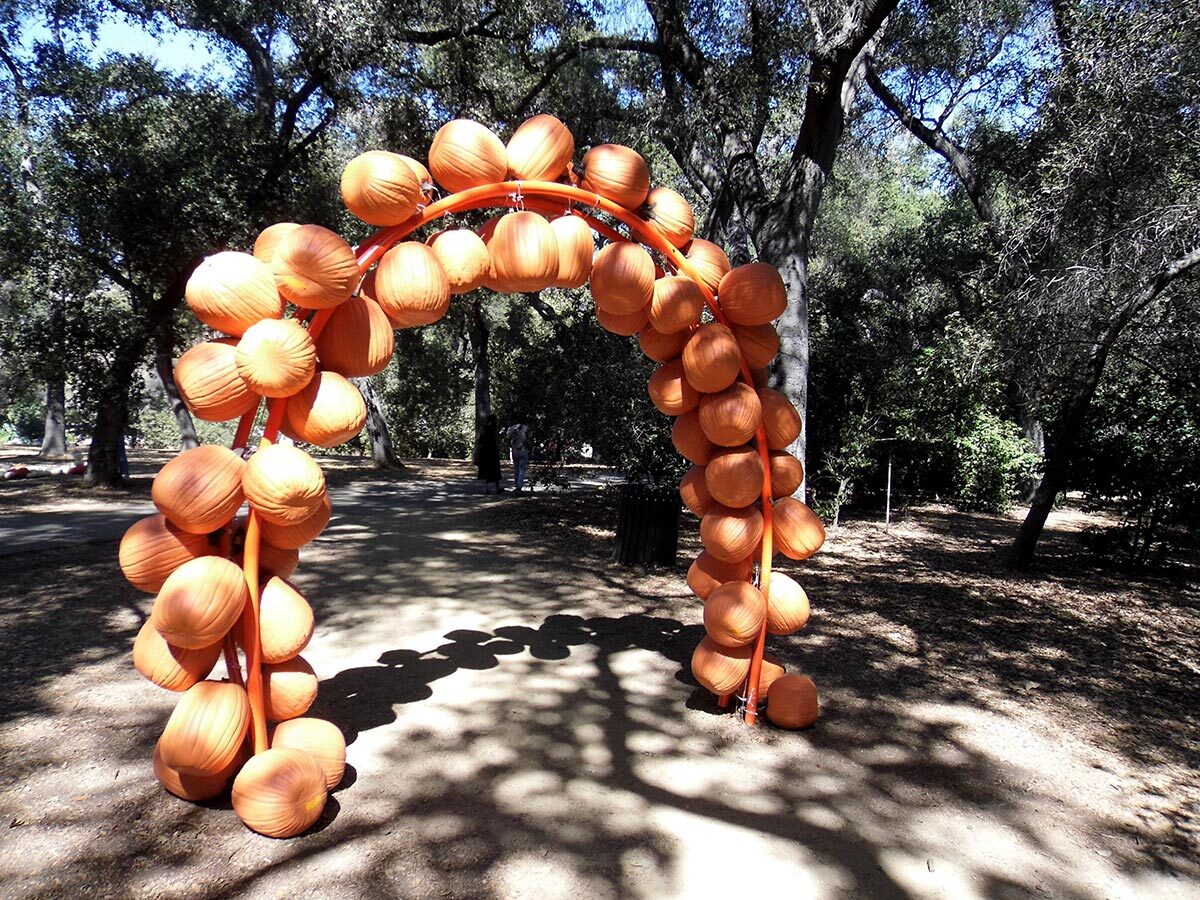 A pumpkin arch at Descanso Gardens. | Sandi Hemmerlein