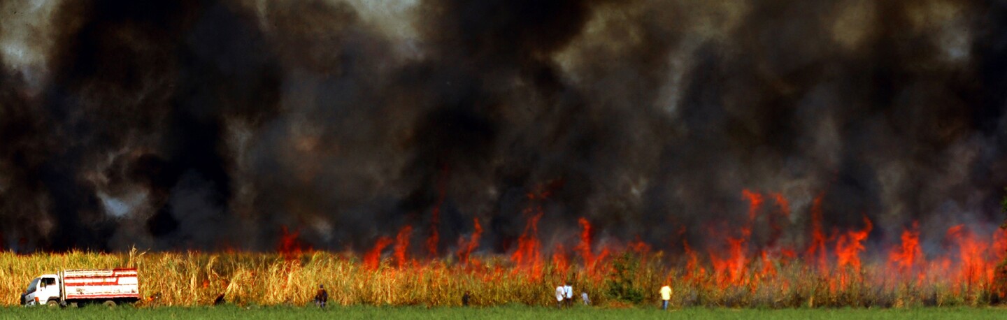 A controlled burn prepares a sugarcane field for the harvest in El Salvador. | Photo: MARVIN RECINOS/AFP/Getty Images