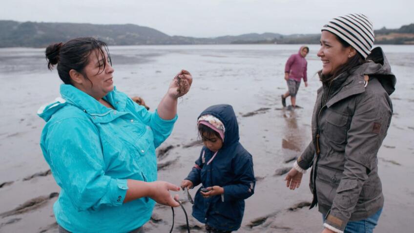 Chiloe