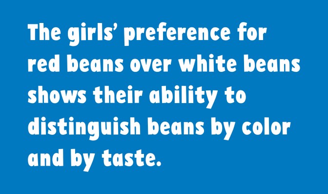 Math quote "The girls' preference for red beans over white beans shows their ability to distinguish beans by color and taste"