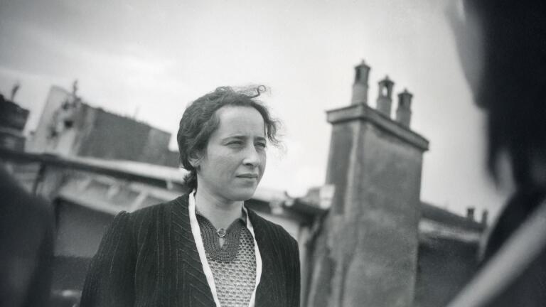 What sparked Hannah Arendt's ideas behind "The Origins of Totalitarianism"